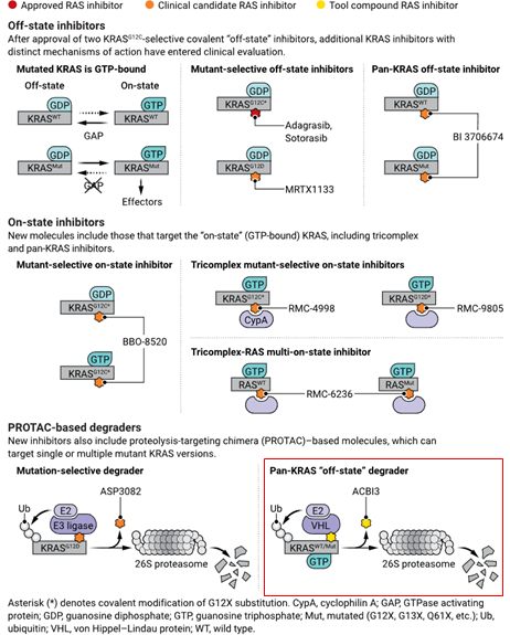 Targeting cancer with pan-KRAS PROTAC molecule
