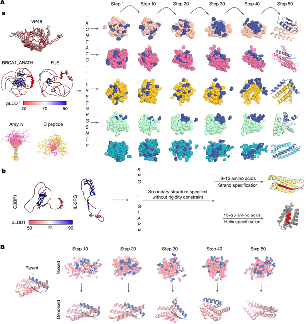 Diffusing protein binders to intrinsically disordered proteins