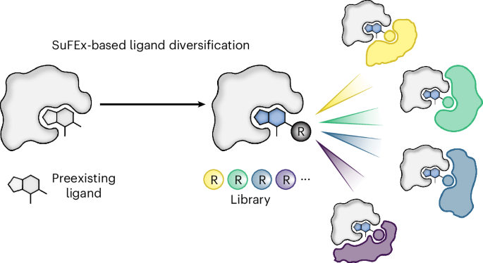 High-throughput ligand diversification to discover chemical inducers of proximity