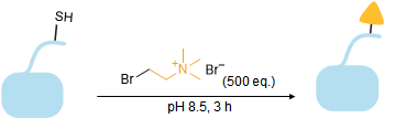 Sulfhydryl alkylation to afford methylated proteins